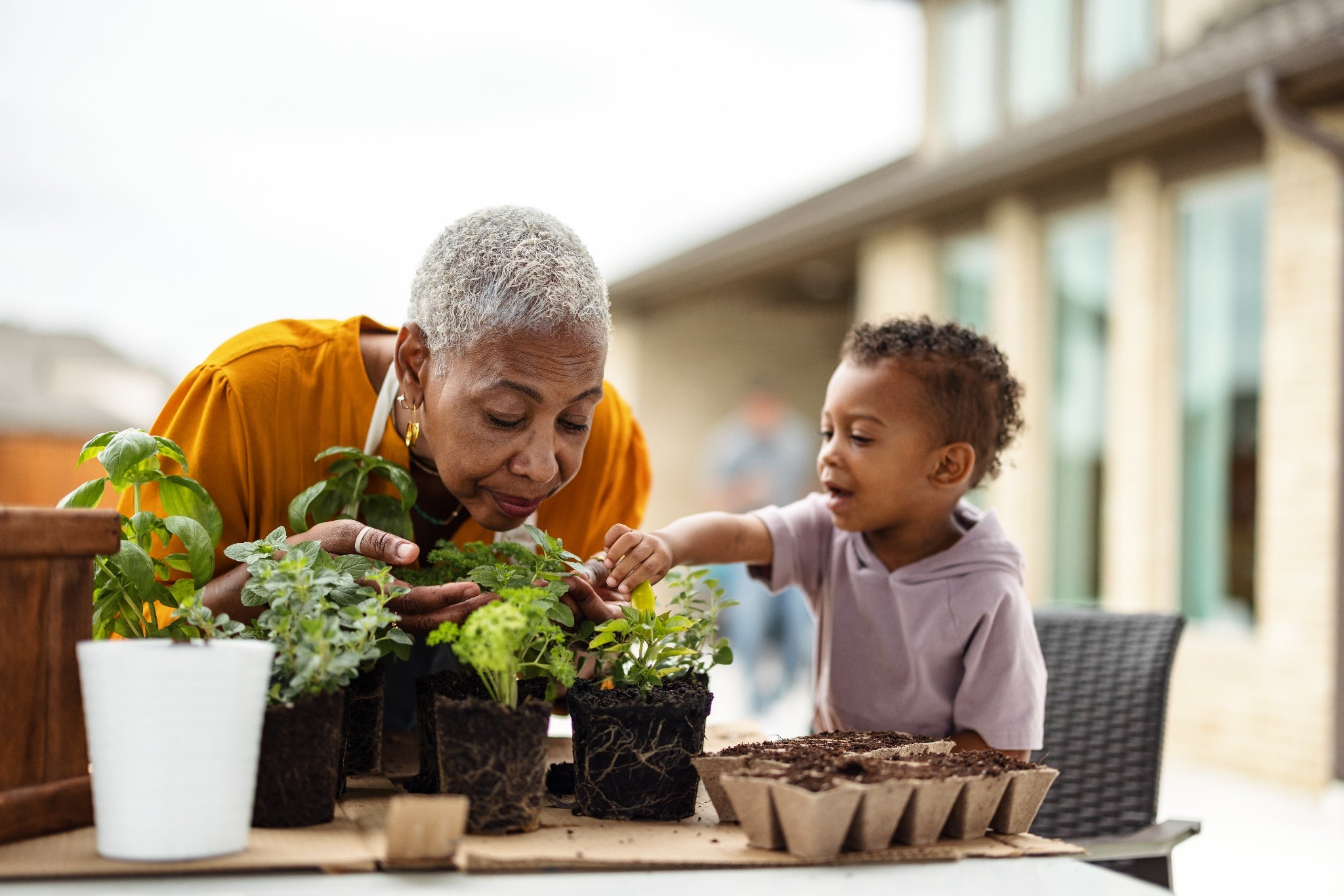Older woman gardening with her young grandchild at home.